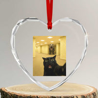 Black Cat Selfie with Dinosaur in The Backrooms Liminal Space Graphic Heart Crystal Glass Ornament Liminal Space Urban Legend Meme