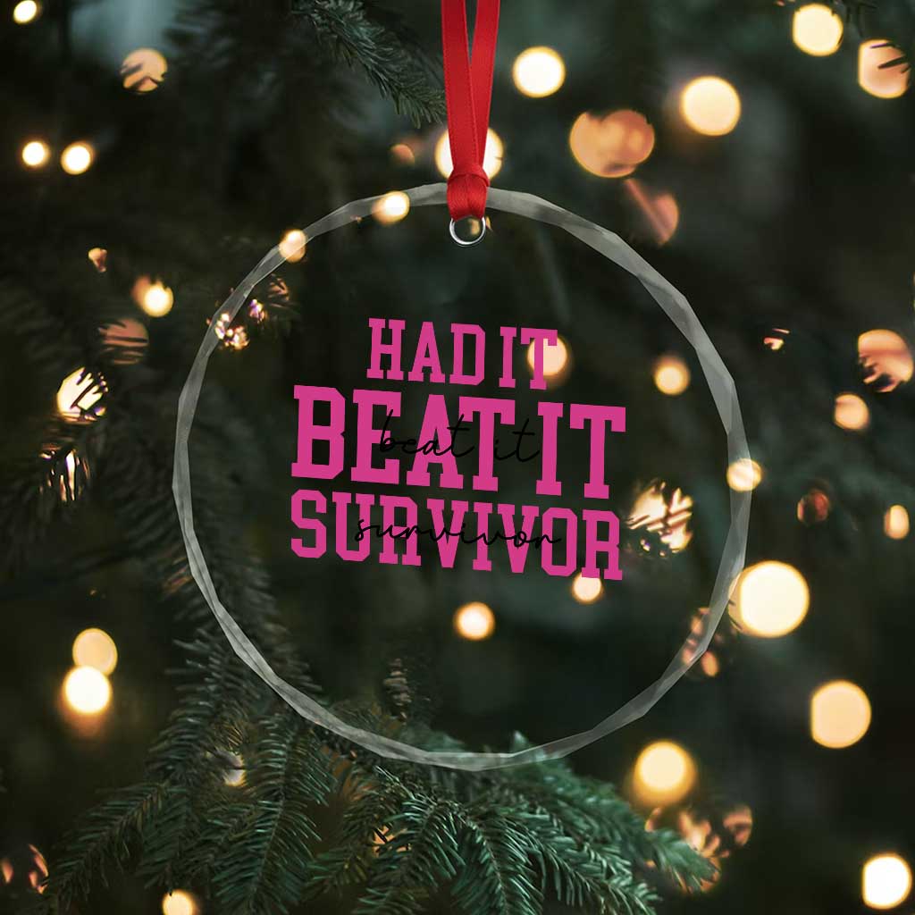 Breast Cancer Support Crystal Glass Ornament Had it Beat it Survivor Gift - Wonder Print Shop