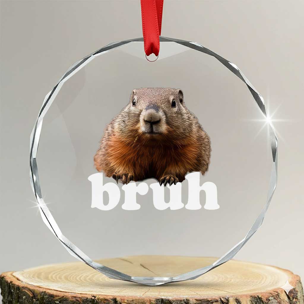 Bruh Groundhog Crystal Glass Ornament Funny Woodchuck Youth Teens Kids Slang - Wonder Print Shop