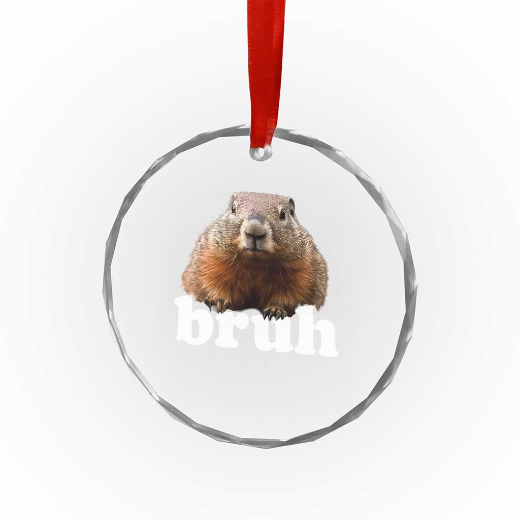 Bruh Groundhog Crystal Glass Ornament Funny Woodchuck Youth Teens Kids Slang - Wonder Print Shop