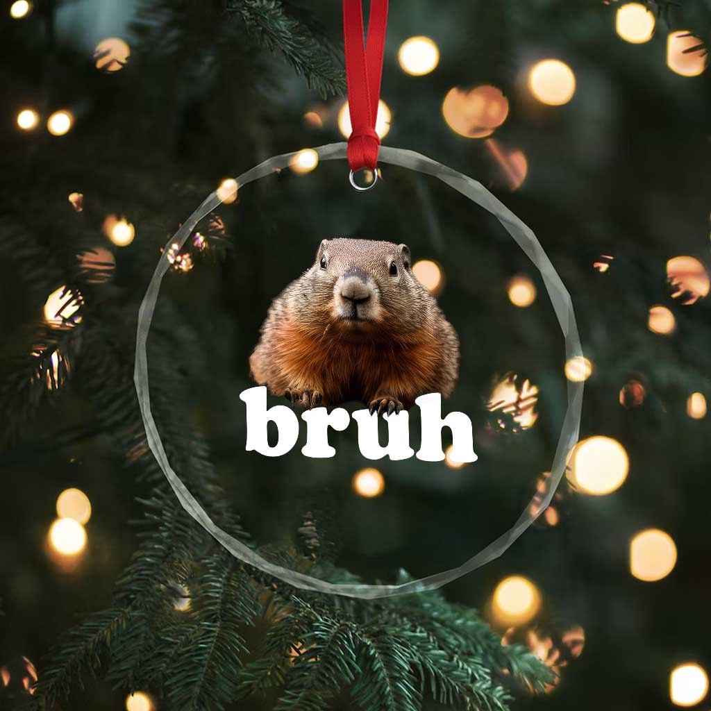 Bruh Groundhog Crystal Glass Ornament Funny Woodchuck Youth Teens Kids Slang - Wonder Print Shop