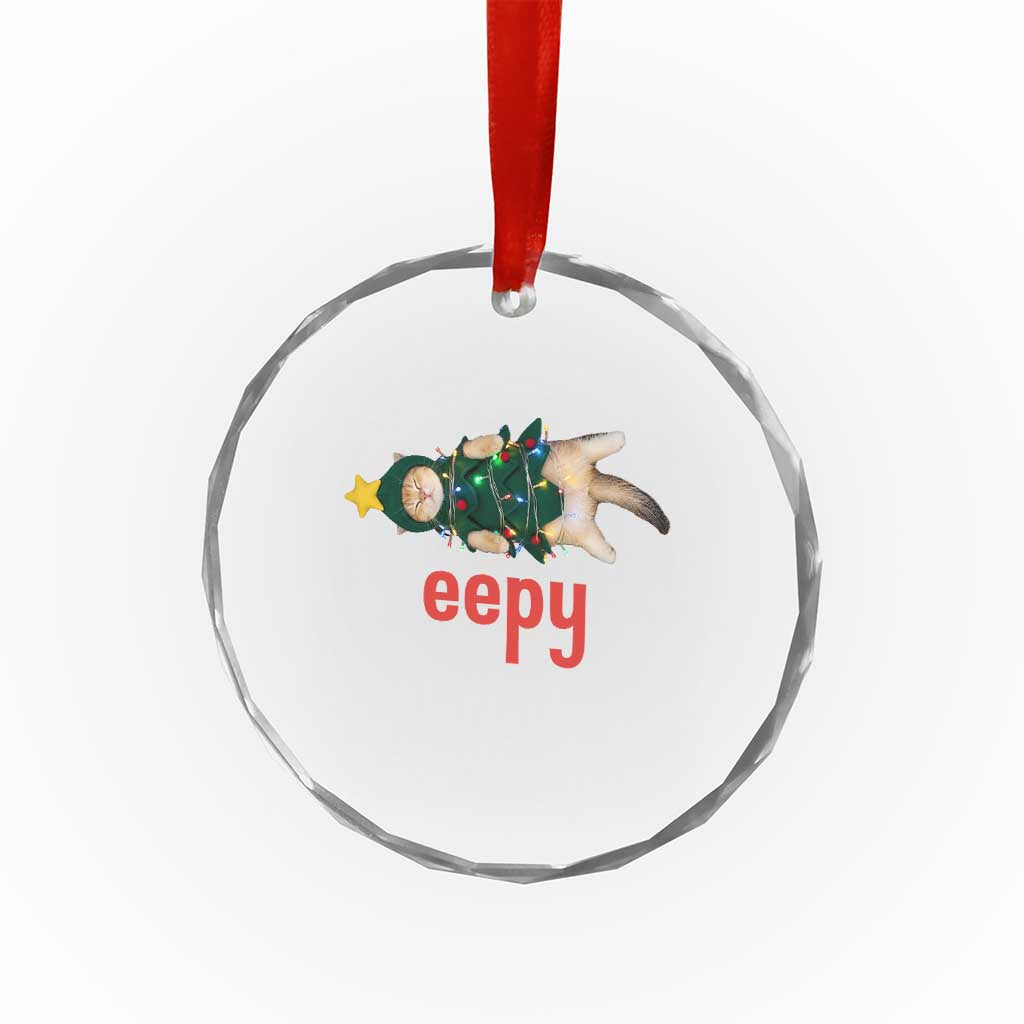 Cat Christmas Meme Crystal Glass Ornament Eepy Kitten Silly Sleepy TS14