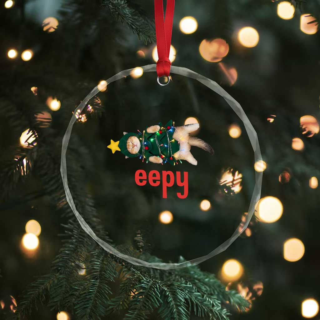 Cat Christmas Meme Crystal Glass Ornament Eepy Kitten Silly Sleepy TS14