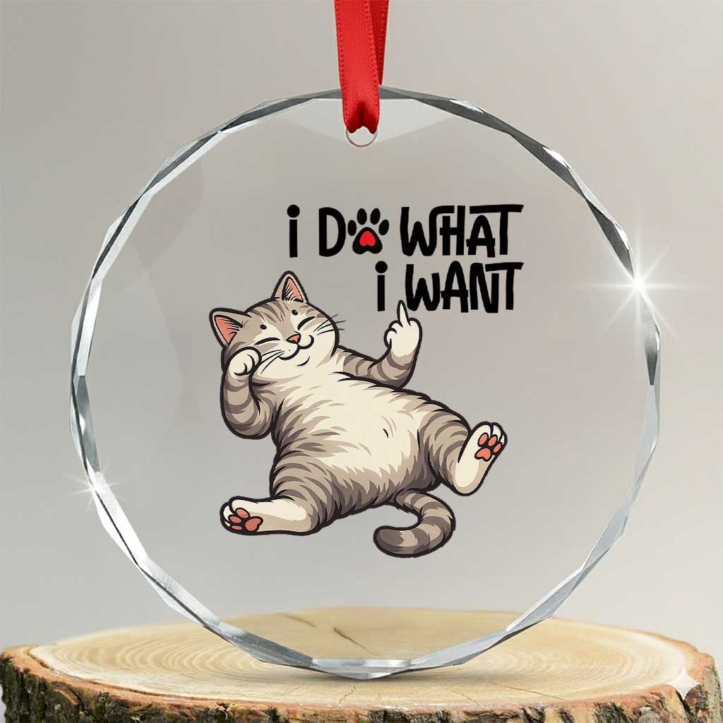 Cat Lover Crystal Glass Ornament Funny I Do What I Want TS12