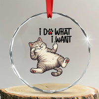 Cat Lover Crystal Glass Ornament Funny I Do What I Want TS12