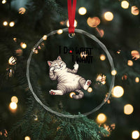 Cat Lover Crystal Glass Ornament Funny I Do What I Want TS12
