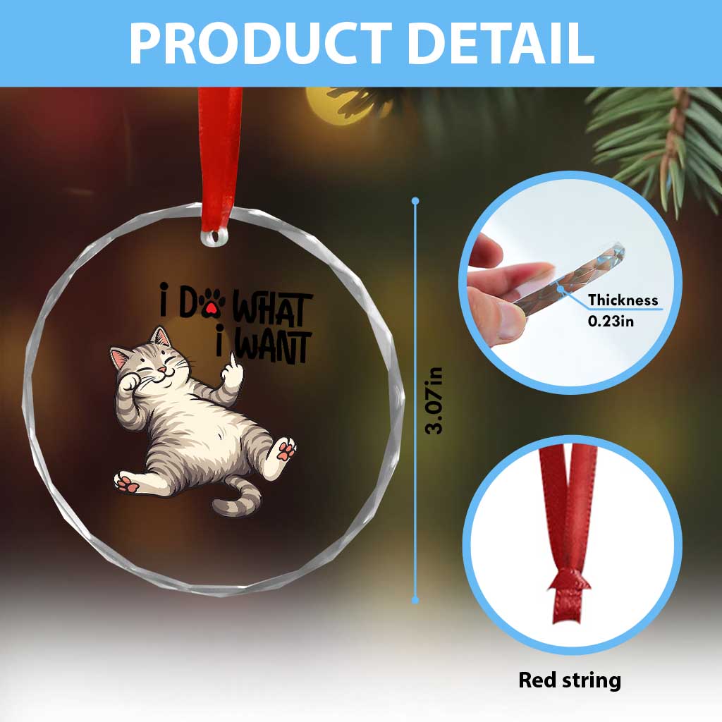 Cat Lover Crystal Glass Ornament Funny I Do What I Want TS12
