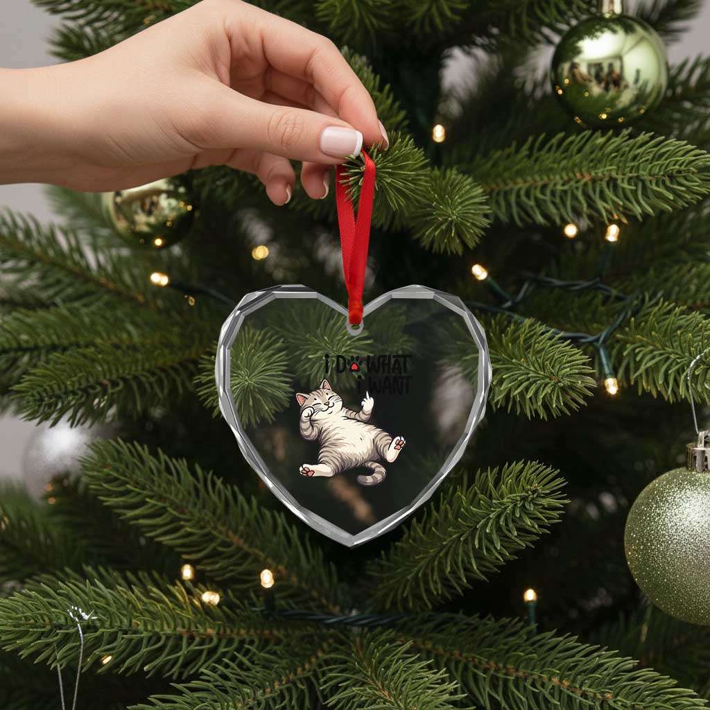 Cat Lover Heart Crystal Glass Ornament Funny I Do What I Want - Wonder Print Shop