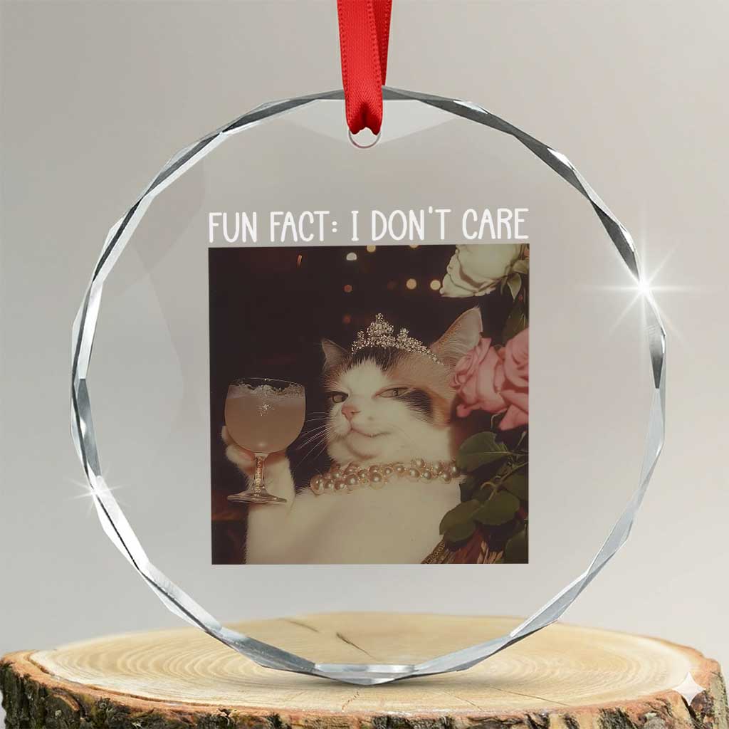 Cat Meme Crystal Glass Ornament Fun Fact I Dont Care Funny Saying Quote - Wonder Print Shop
