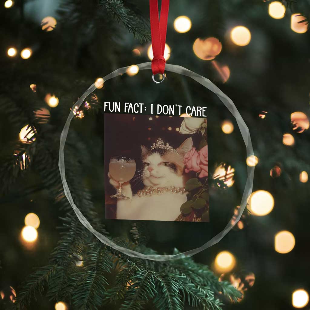 Cat Meme Crystal Glass Ornament Fun Fact I Dont Care Funny Saying Quote - Wonder Print Shop