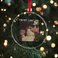 Cat Meme Crystal Glass Ornament Fun Fact I Dont Care Funny Saying Quote - Wonder Print Shop