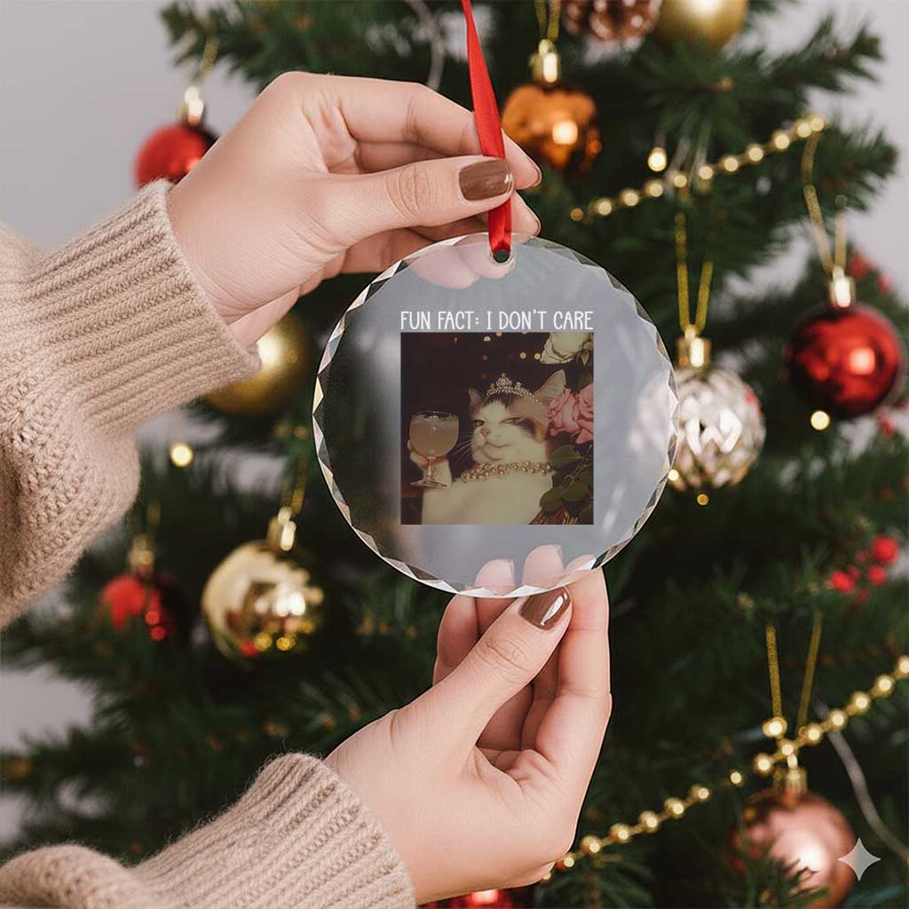 Cat Meme Crystal Glass Ornament Fun Fact I Dont Care Funny Saying Quote - Wonder Print Shop