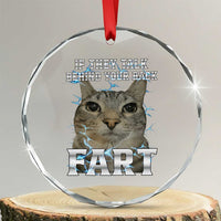 Cat Meme If They Talk Behind Your Back Fart Crystal Glass Ornament Funny Oddly Specific