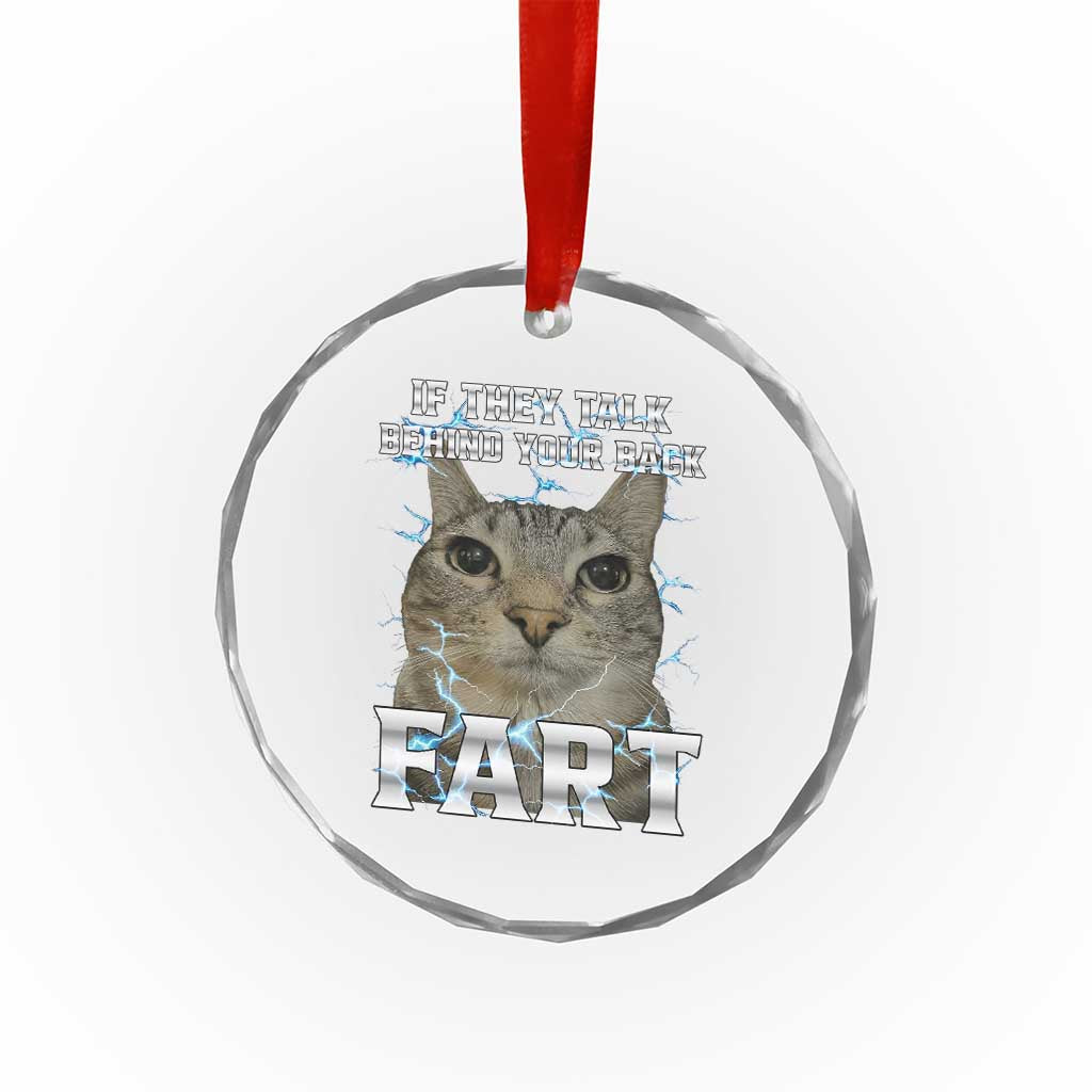 Cat Meme If They Talk Behind Your Back Fart Crystal Glass Ornament Funny Oddly Specific