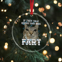 Cat Meme If They Talk Behind Your Back Fart Crystal Glass Ornament Funny Oddly Specific