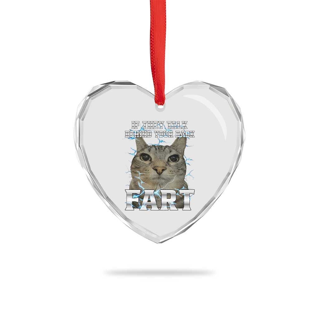 Cat Meme If They Talk Behind Your Back Fart Heart Crystal Glass Ornament Funny Oddly Specific
