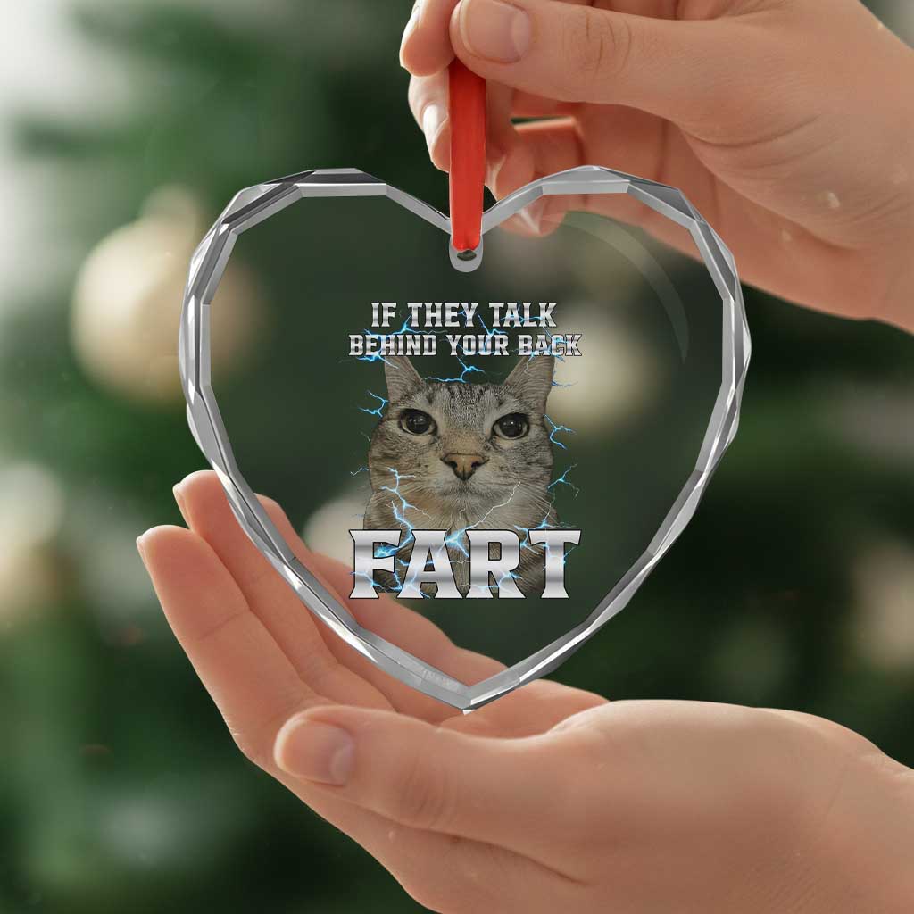 Cat Meme If They Talk Behind Your Back Fart Heart Crystal Glass Ornament Funny Oddly Specific