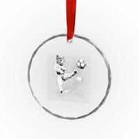 Cat Playing Soccer Crystal Glass Ornament Funny Cat Lover Gift
