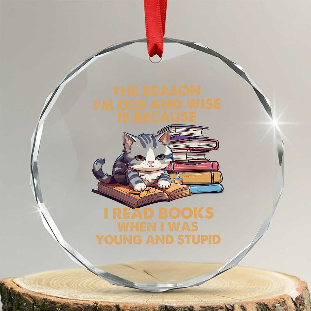 Cat Reading Crystal Glass Ornament I'm Old And Wise Because I Read Books When I Was Young And Stupid Funny Reading Lover TS02
