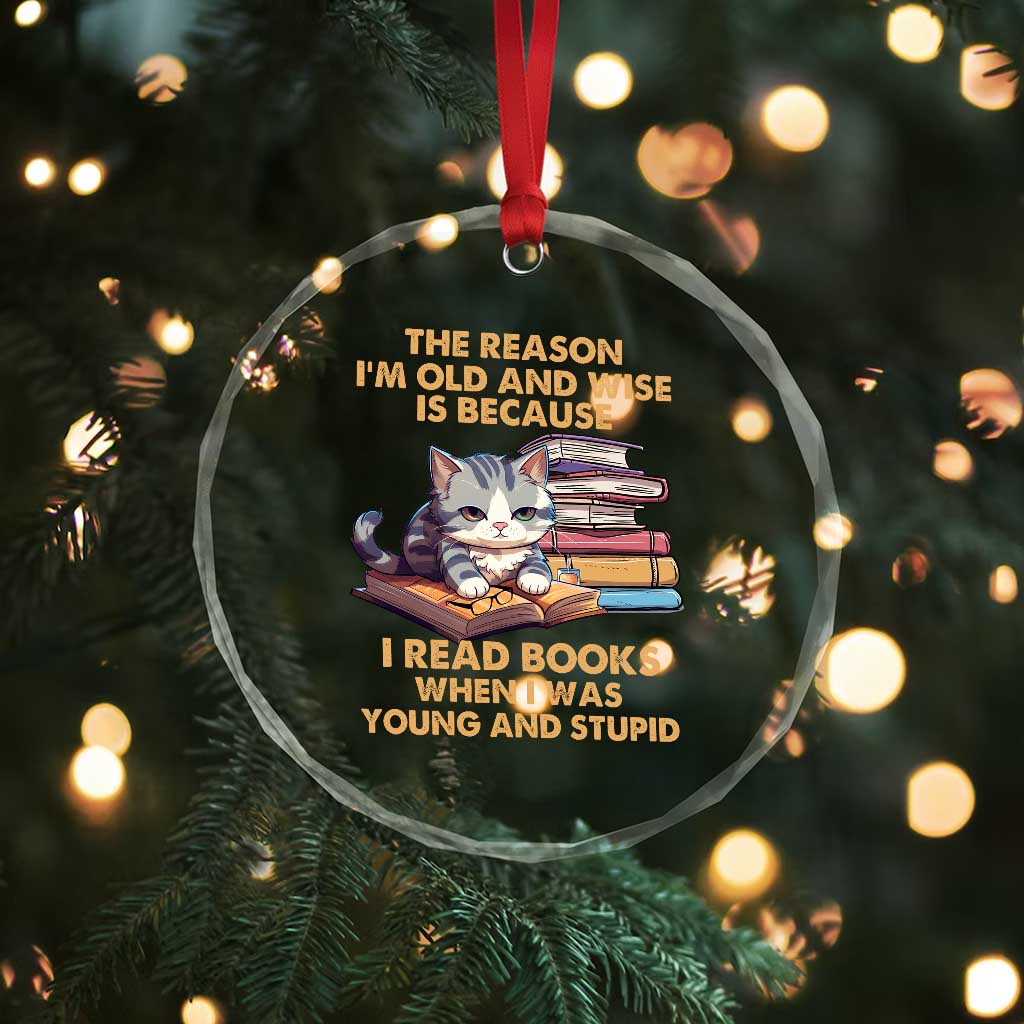 Cat Reading Crystal Glass Ornament I'm Old And Wise Because I Read Books When I Was Young And Stupid Funny Reading Lover TS02