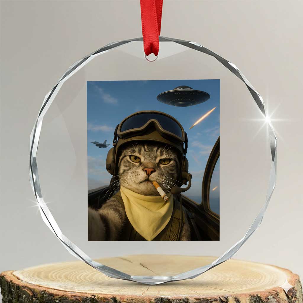 Cat Selfie With Alien UFO Crystal Glass Ornament Retro Space Sci-Fi Cat Pilot - Wonder Print Shop