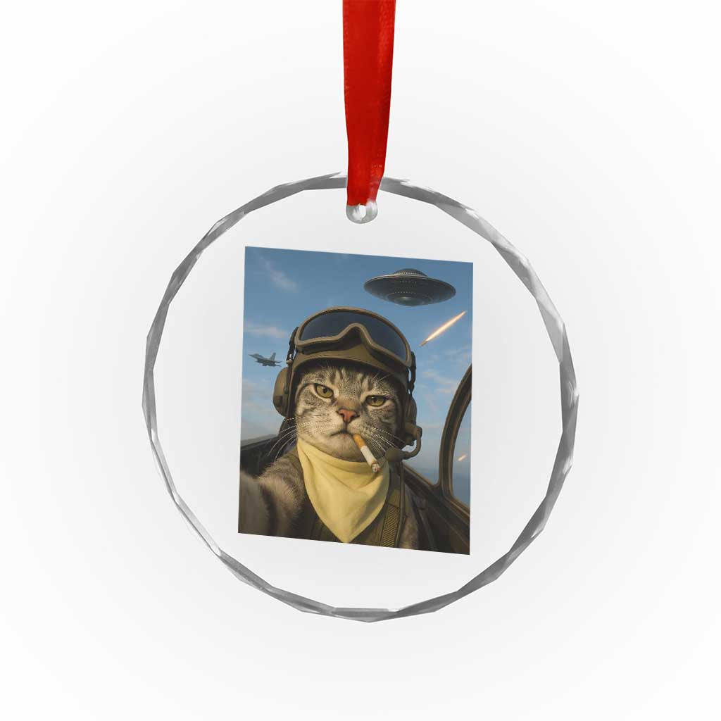 Cat Selfie With Alien UFO Crystal Glass Ornament Retro Space Sci-Fi Cat Pilot - Wonder Print Shop