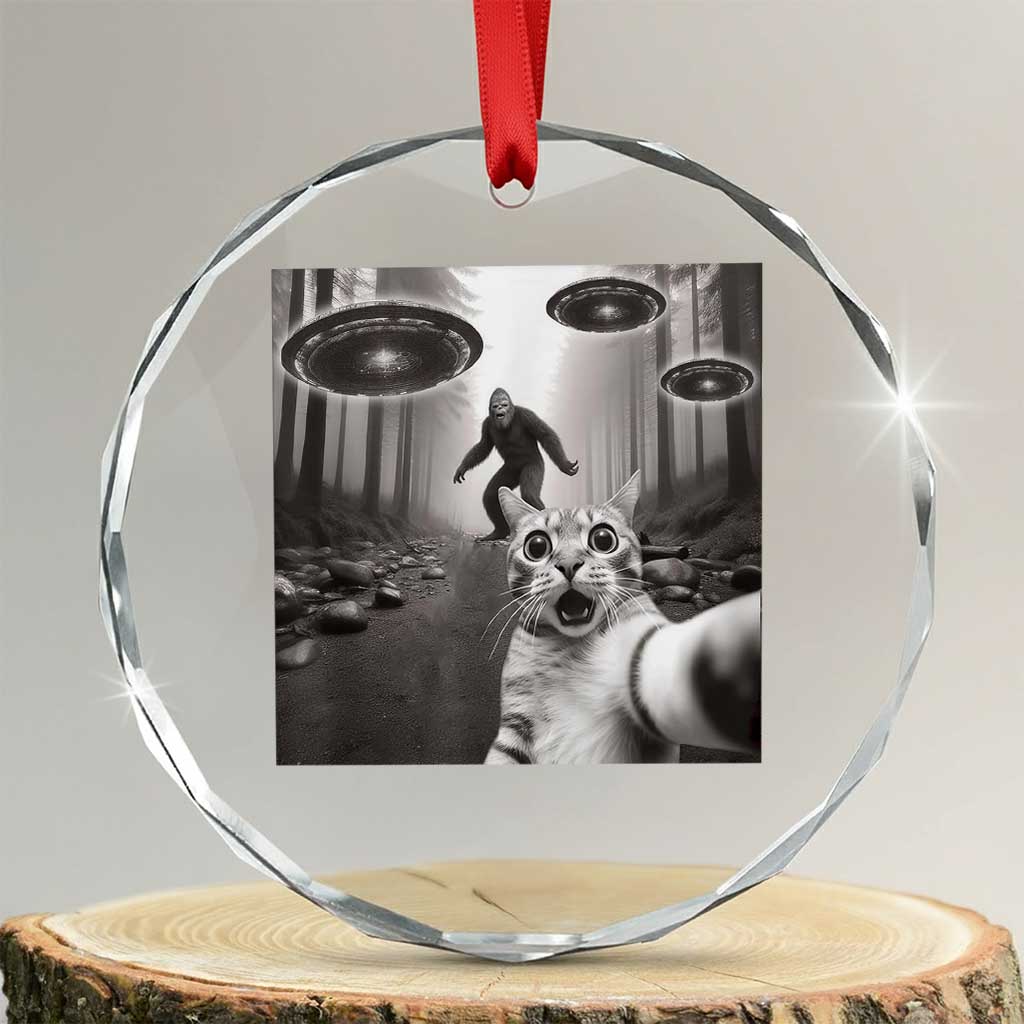 Cat Selfie With Bigfoot UFO Crystal Glass Ornament Funny Cat Lover Gifts - Wonder Print Shop