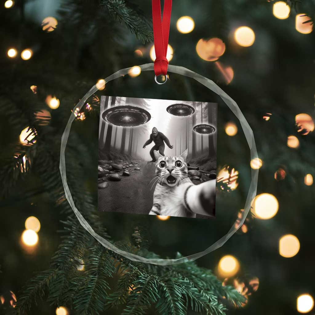 Cat Selfie With Bigfoot UFO Crystal Glass Ornament Funny Cat Lover Gifts - Wonder Print Shop