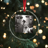 Cat Selfie With Bigfoot UFO Crystal Glass Ornament Funny Cat Lover Gifts - Wonder Print Shop