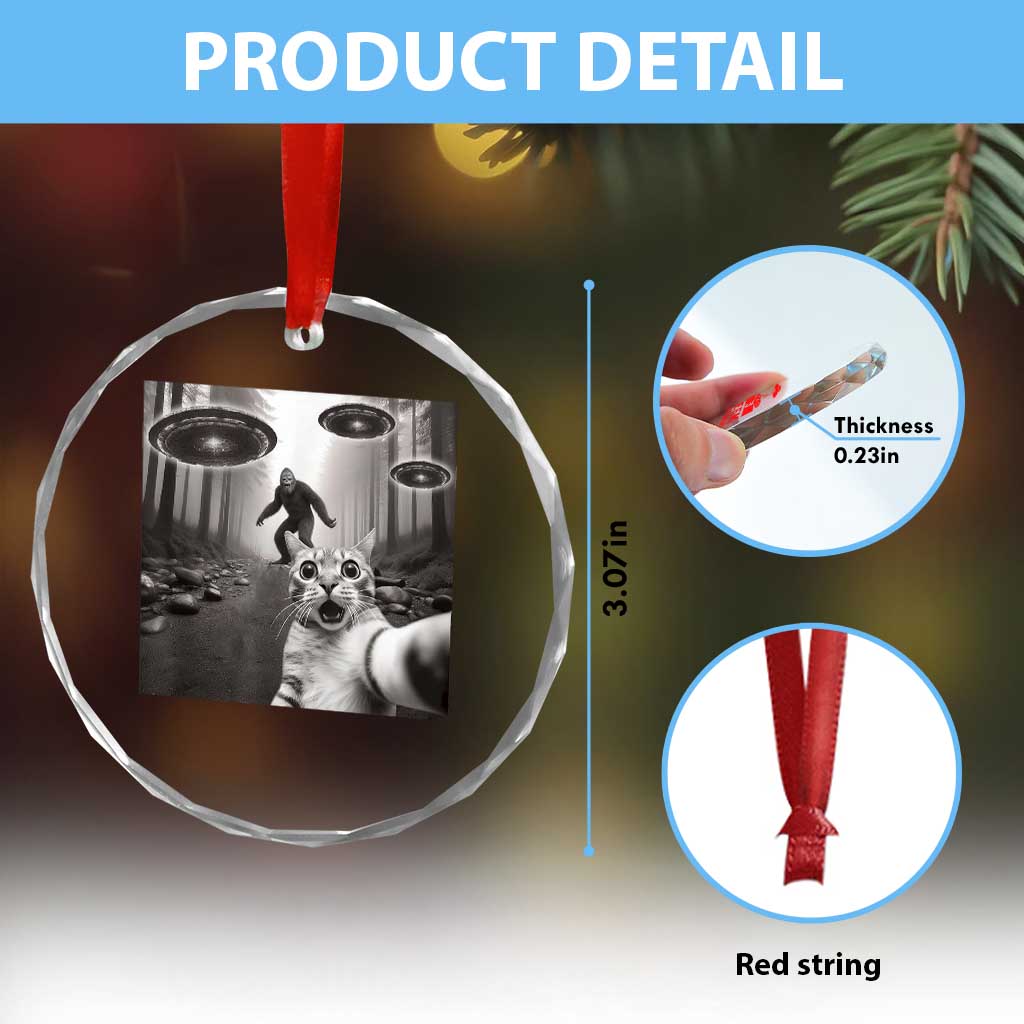 Cat Selfie With Bigfoot UFO Crystal Glass Ornament Funny Cat Lover Gifts - Wonder Print Shop