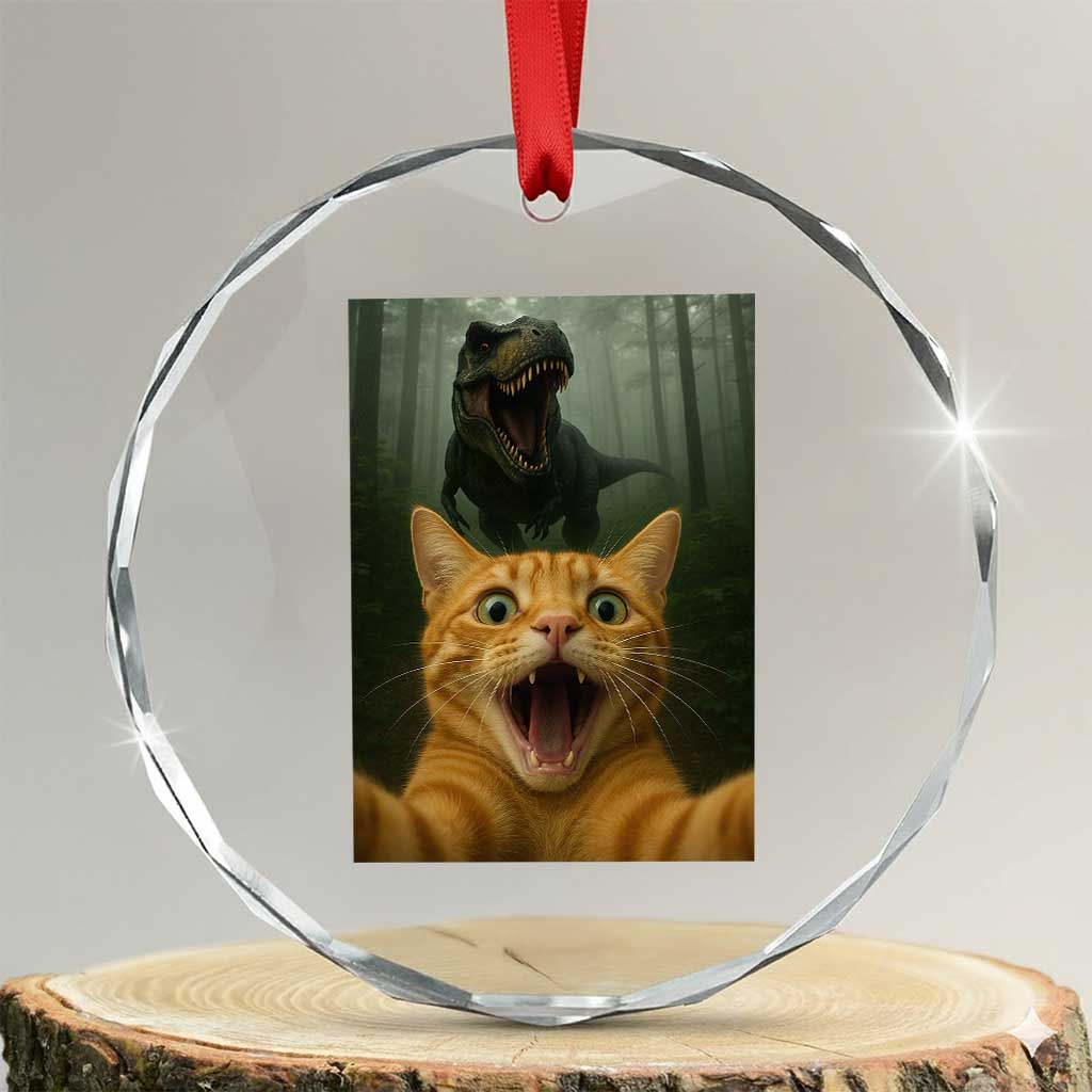 Cat Selfie With Dinosaur Crystal Glass Ornament Funny Cat Gifts - Wonder Print Shop