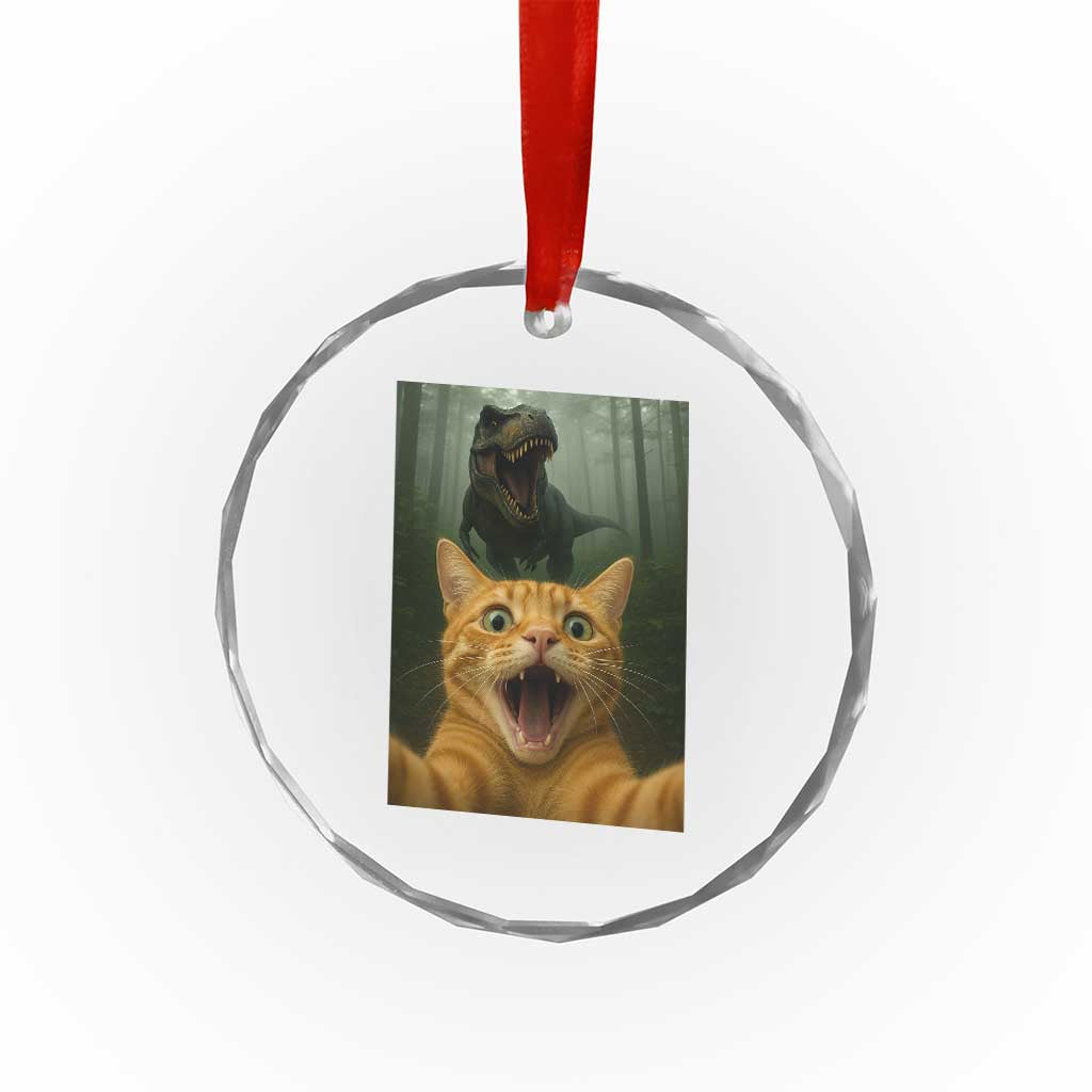 Cat Selfie With Dinosaur Crystal Glass Ornament Funny Cat Gifts - Wonder Print Shop