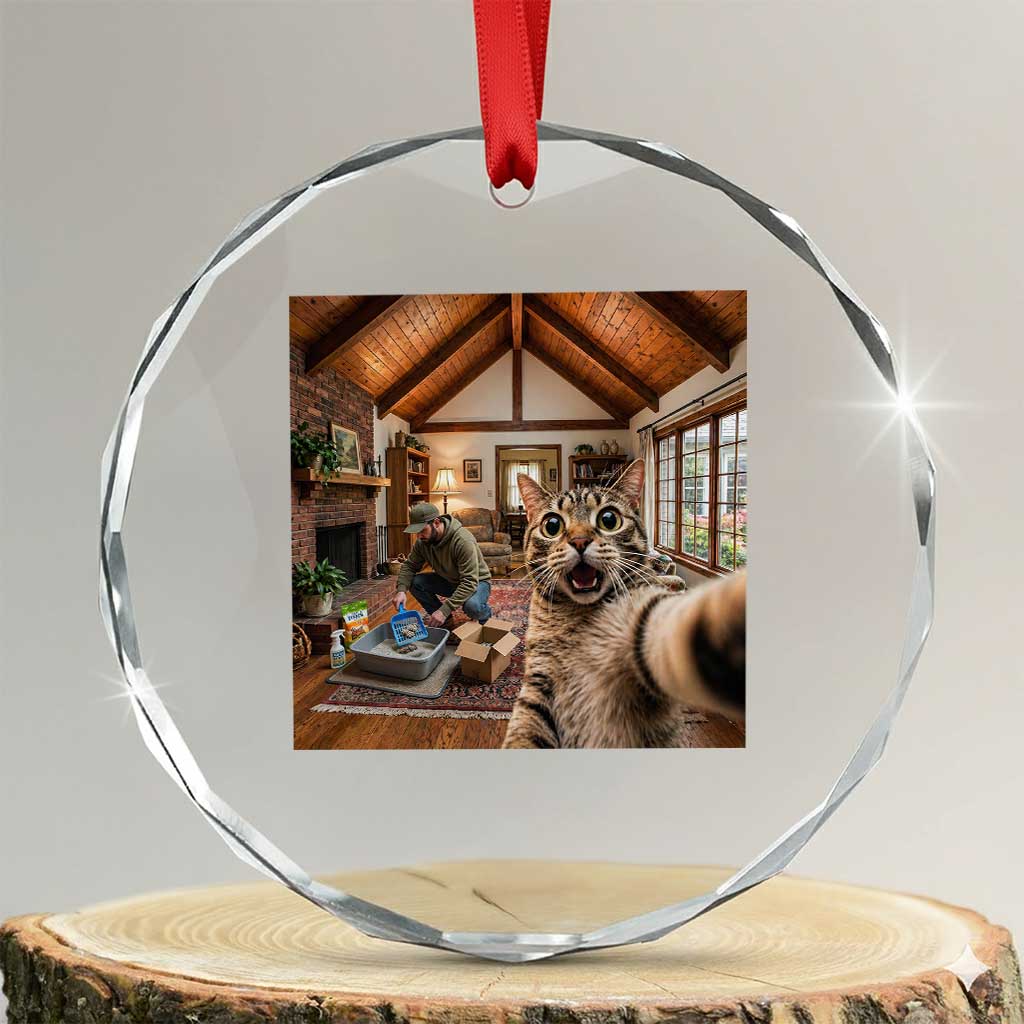 Cat Selfie with Man Funny Cat Dad Crystal Glass Ornament