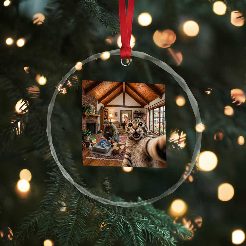 Cat Selfie with Man Funny Cat Dad Crystal Glass Ornament
