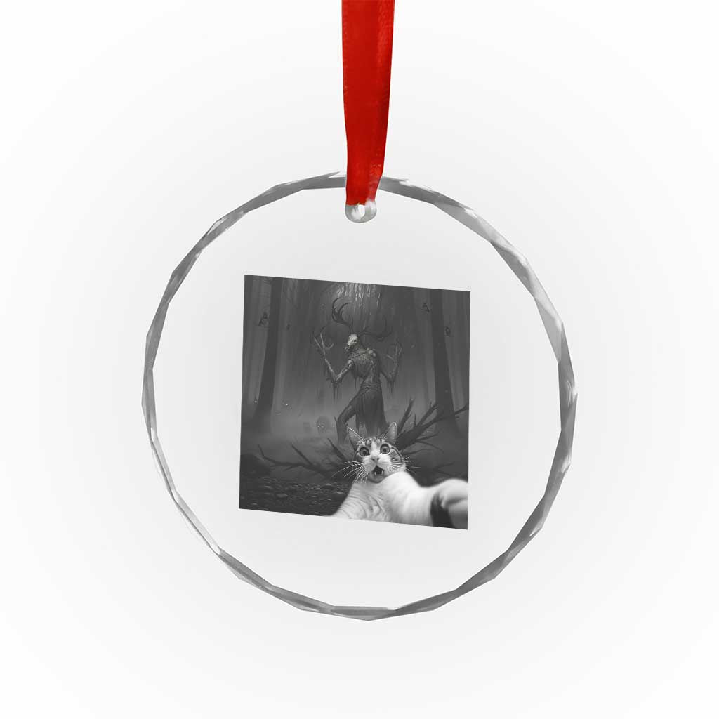 Cat Selfie With Wendigo Crystal Glass Ornament Horror Halloween Funny Cat Gifts