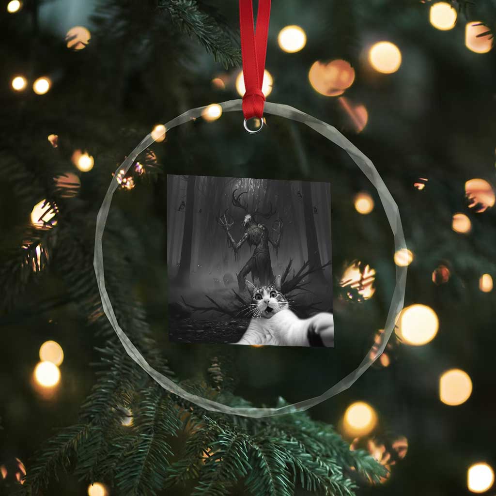 Cat Selfie With Wendigo Crystal Glass Ornament Horror Halloween Funny Cat Gifts