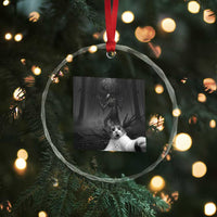 Cat Selfie With Wendigo Crystal Glass Ornament Horror Halloween Funny Cat Gifts