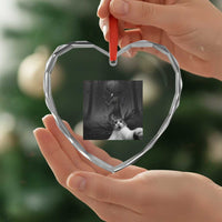 Cat Selfie With Wendigo Heart Crystal Glass Ornament Horror Halloween Funny Cat Gifts