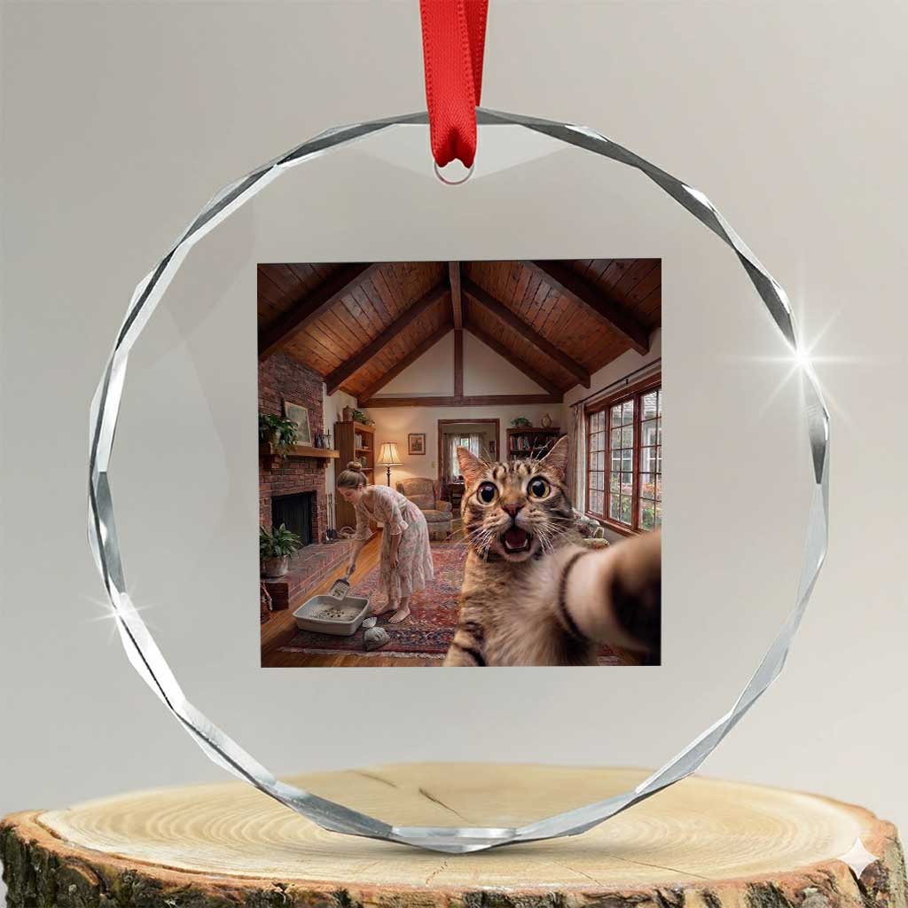 Cat Selfie with Woman Funny Cat Mom Crystal Glass Ornament