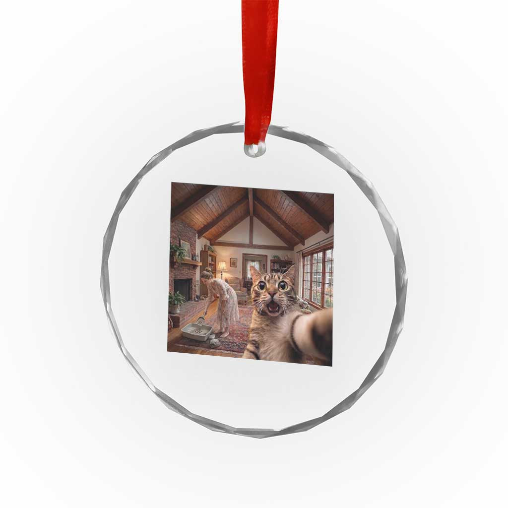 Cat Selfie with Woman Funny Cat Mom Crystal Glass Ornament