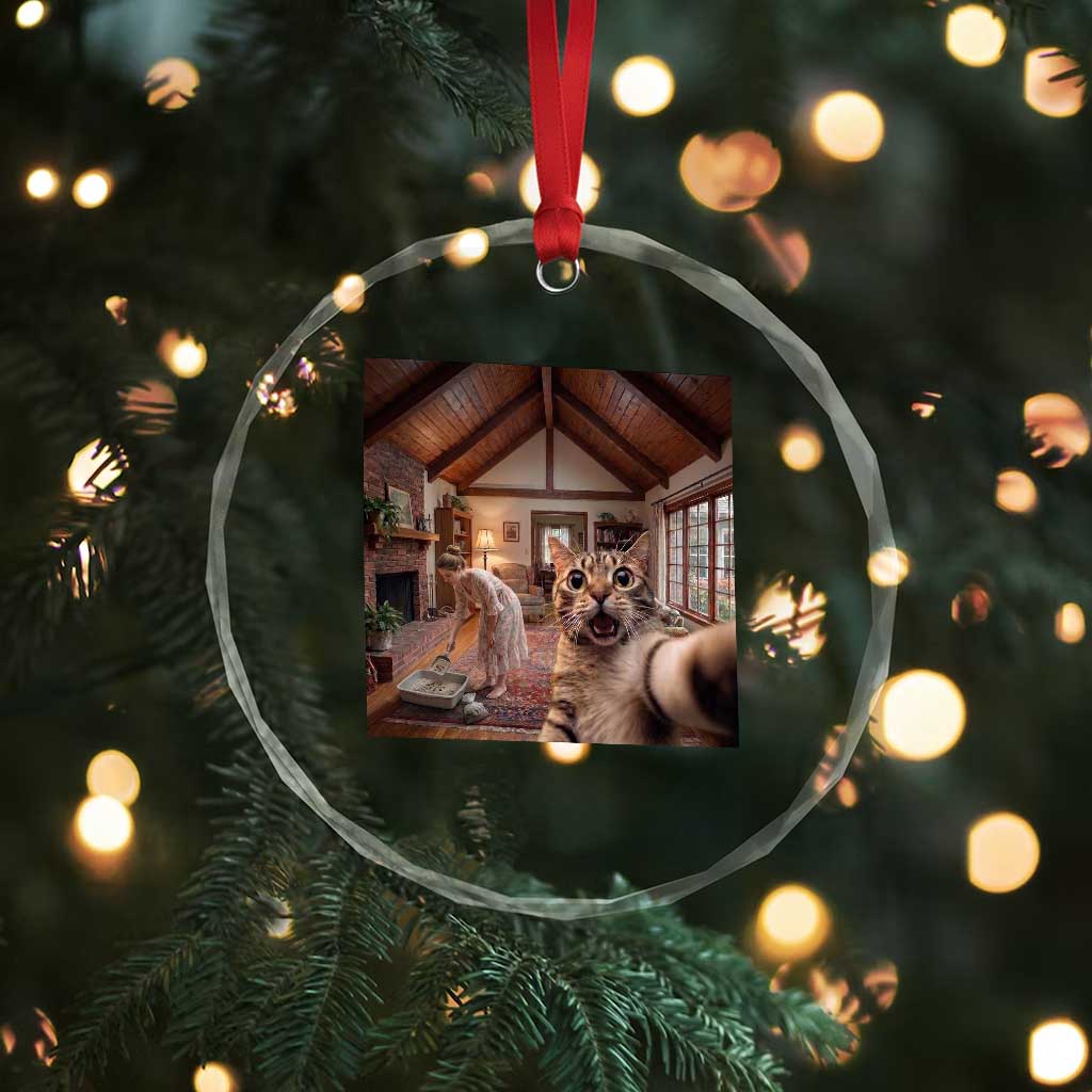 Cat Selfie with Woman Funny Cat Mom Crystal Glass Ornament