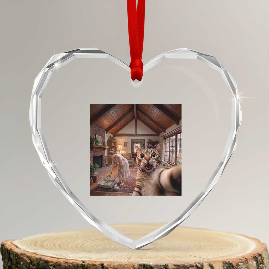 Cat Selfie with Woman Funny Cat Mom Heart Crystal Glass Ornament