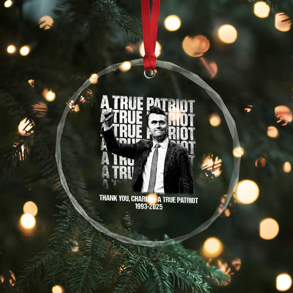 Charlie Kirk Freedom Crystal Glass Ornament Vintage A True Patriot Patriotic American TS10