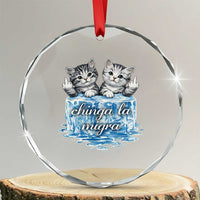 Chinga La Migra Crystal Glass Ornament Cute Cat Melting Ice Pro Immigrant