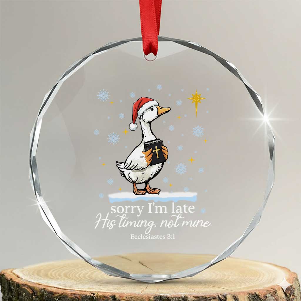 Christian Silly Goose Crystal Glass Ornament Sorry I Am Late His Timing Not Mine - Wonder Print Shop