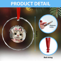 Consider Your Pants Peed Crystal Glass Ornament Funny Cat Meme Saying TS12