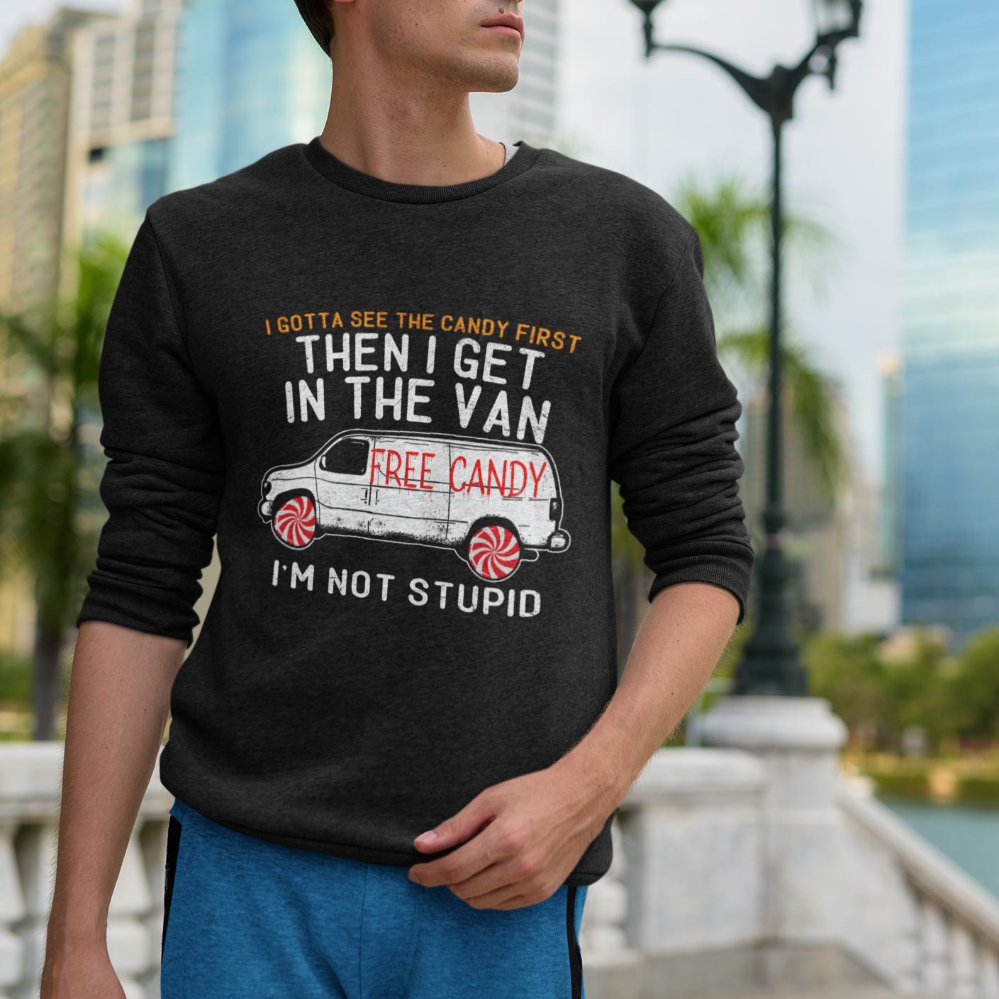 I'm Not Stupid I Gotta See The Candy First Then I Get In The Van Funny Sweatshirt - Wonder Print Shop
