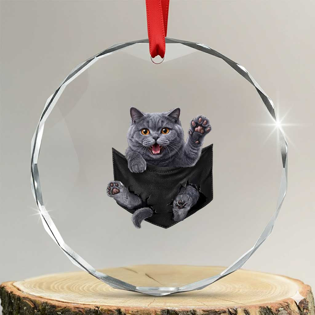 Cute British Shorthair Cat In Pocket Crystal Glass Ornament Cat Lover