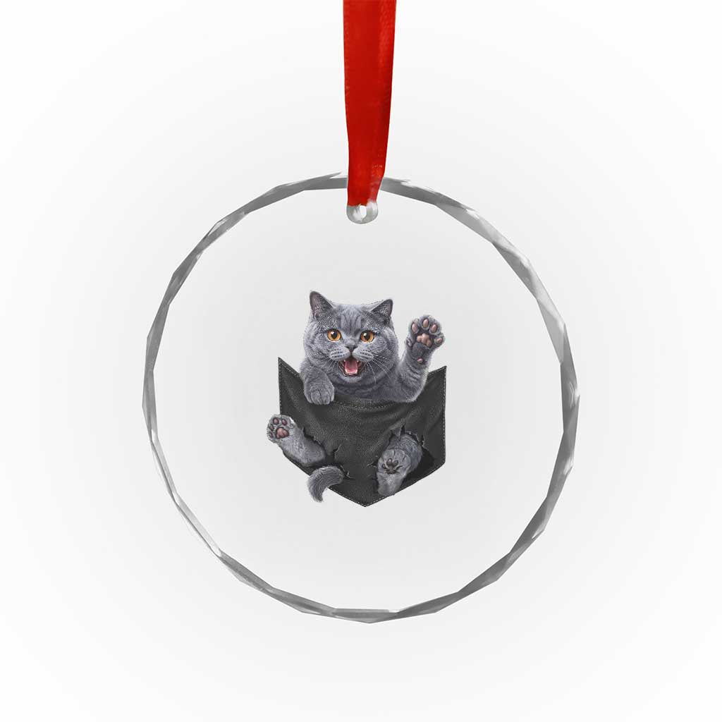 Cute British Shorthair Cat In Pocket Crystal Glass Ornament Cat Lover