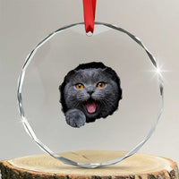 Cute British Shorthair Cat Peeking Through Cracked Wall Crystal Glass Ornament